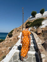 ikat 009